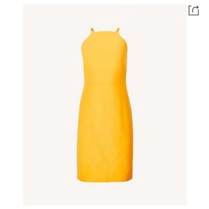 Brand New Yellow Ann Taylor Sheath Dress